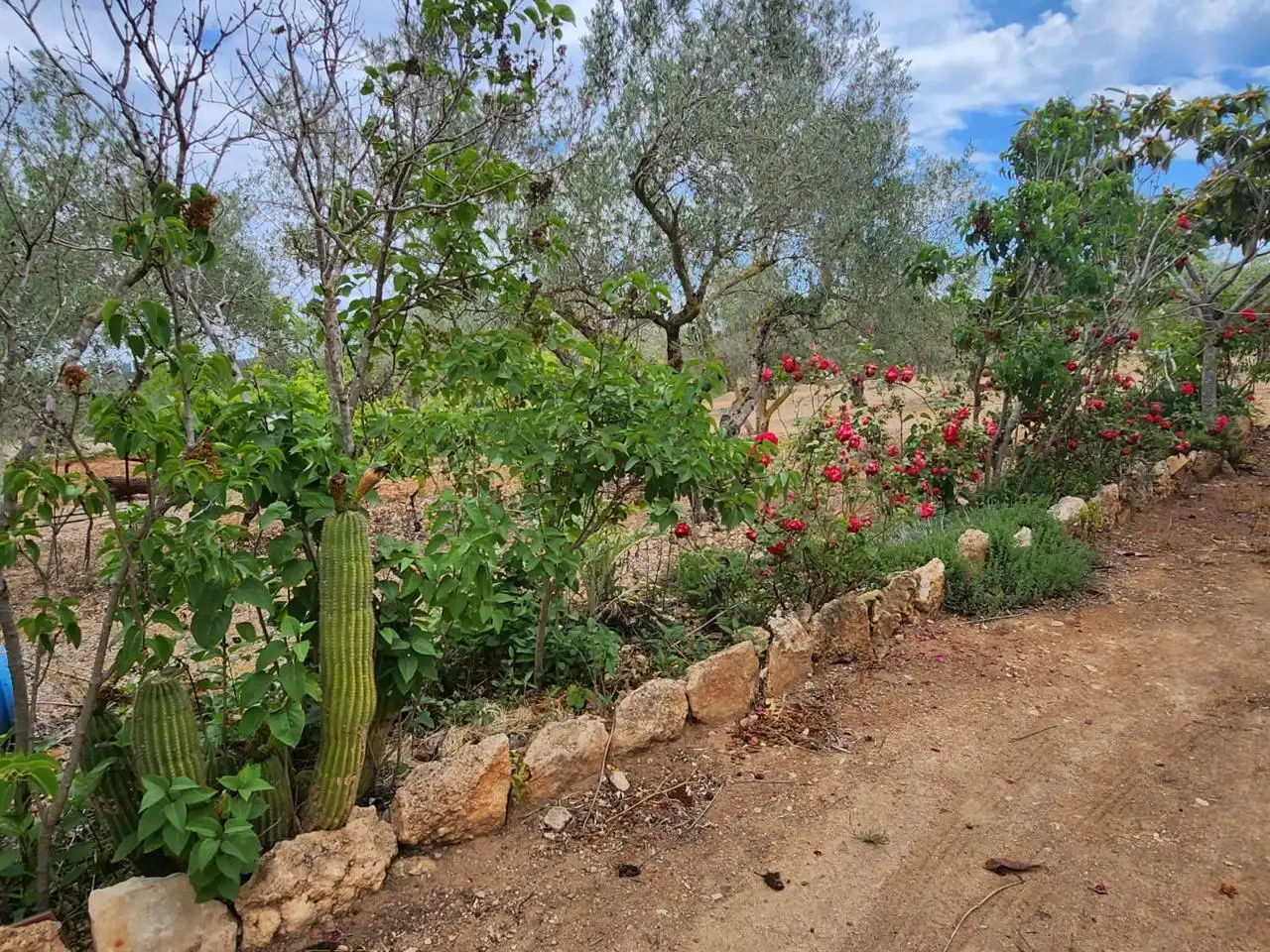 Casa rustica con giardino in vendita a Burgà, imagen 15