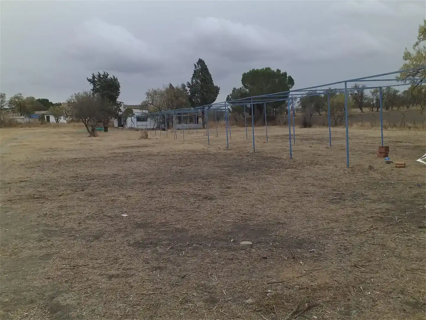 Finca rústica en venta en Pinto
