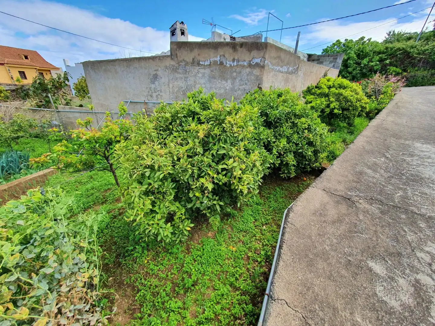 Finca rústica en venta en Icod de los Vinos con Jardín privado, Terraza y Trastero