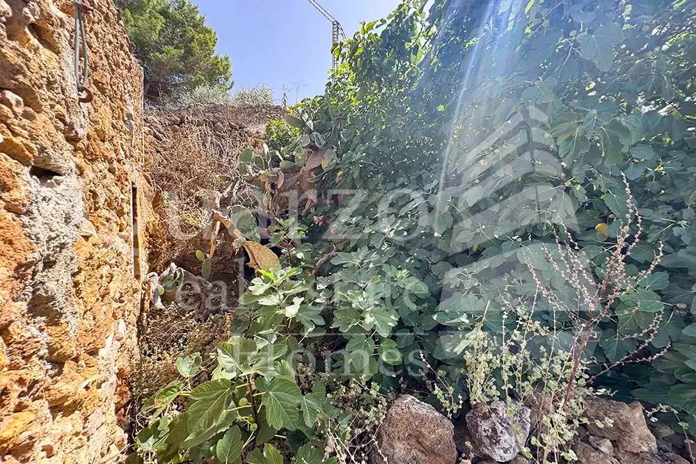 House with garden for sale in Calle Proyecto Número 3, imagen 8