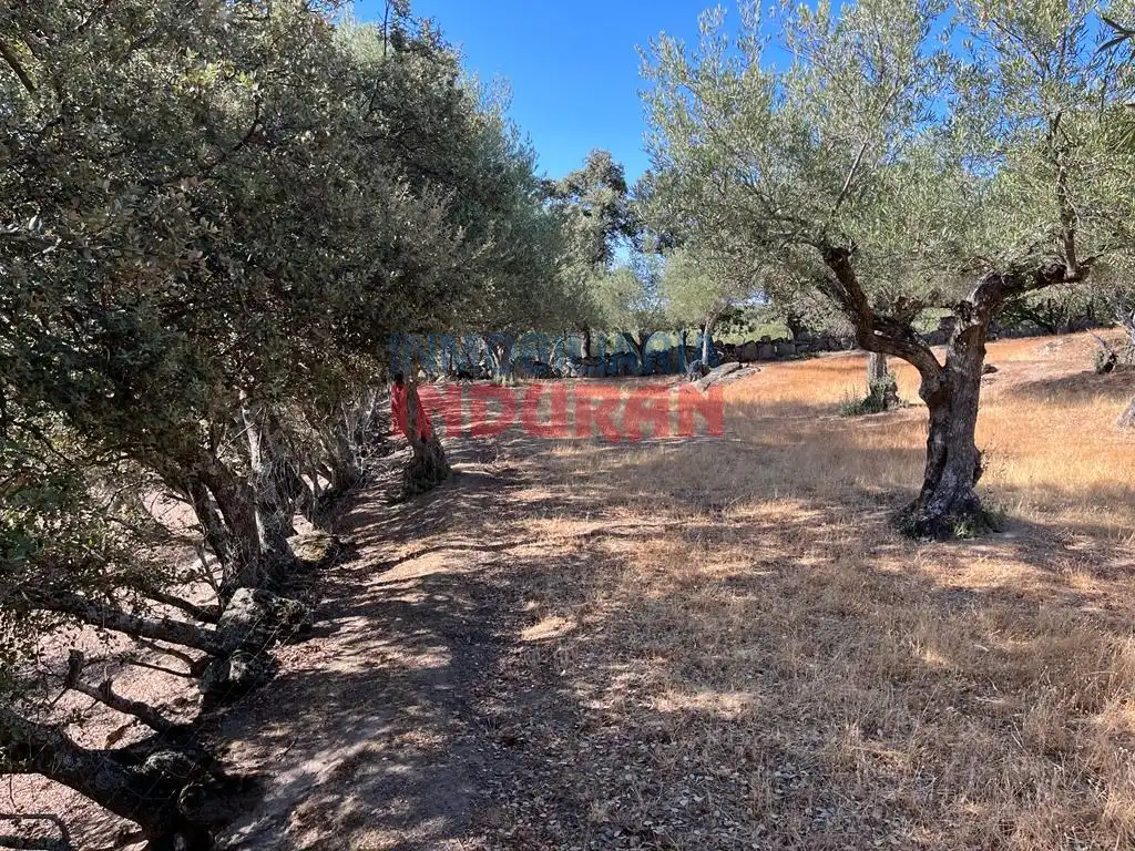 Casa rústica en venda a Belvís de Monroy, imagen 3