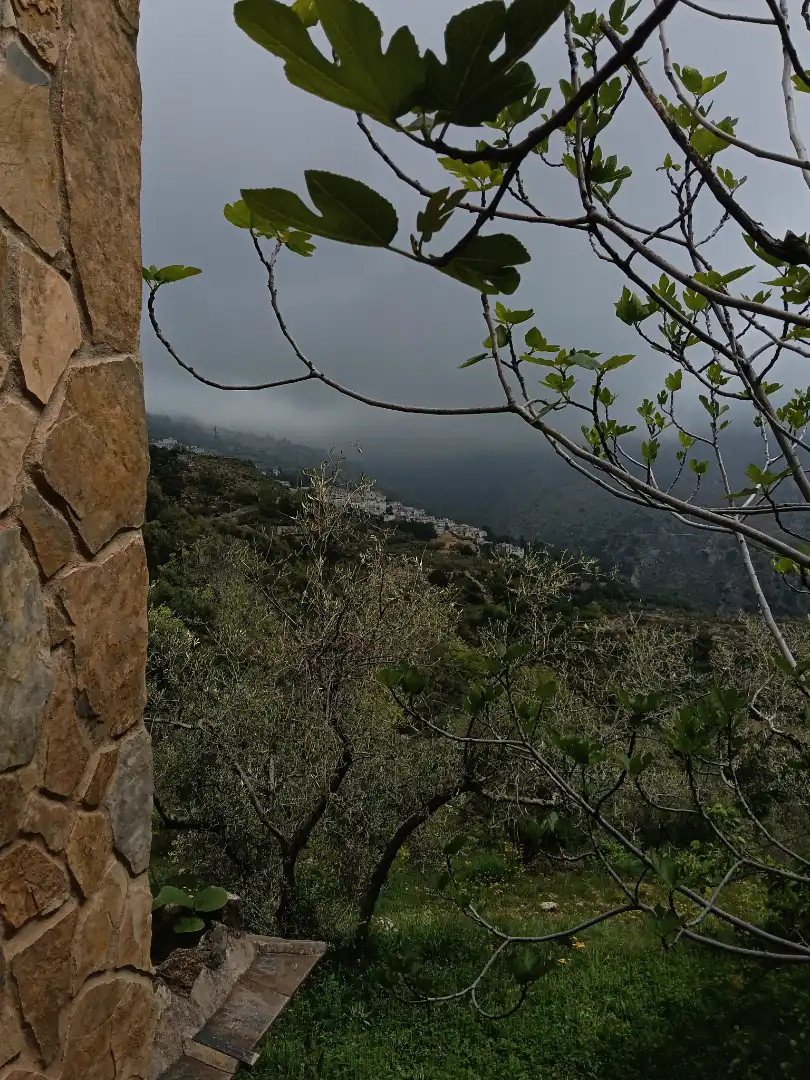 Terreni e lotti in vendita a Alpujarra de la Sierra, imagen 22