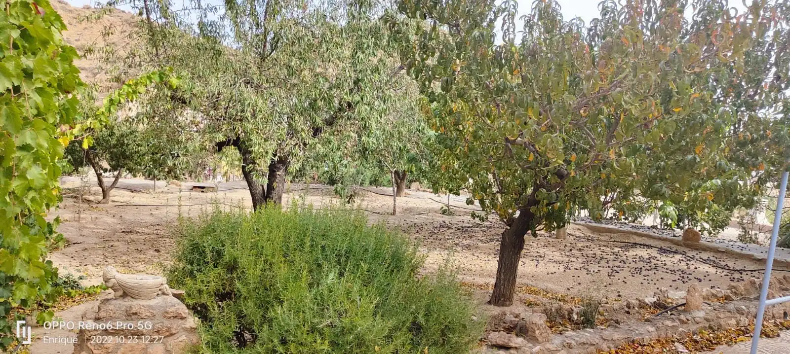 Casa o xalet en venda a Cortes y Graena