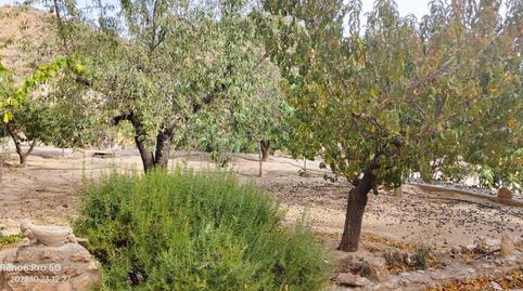 Foto 5 de Casa o xalet en venda a Cortes y Graena, Granada