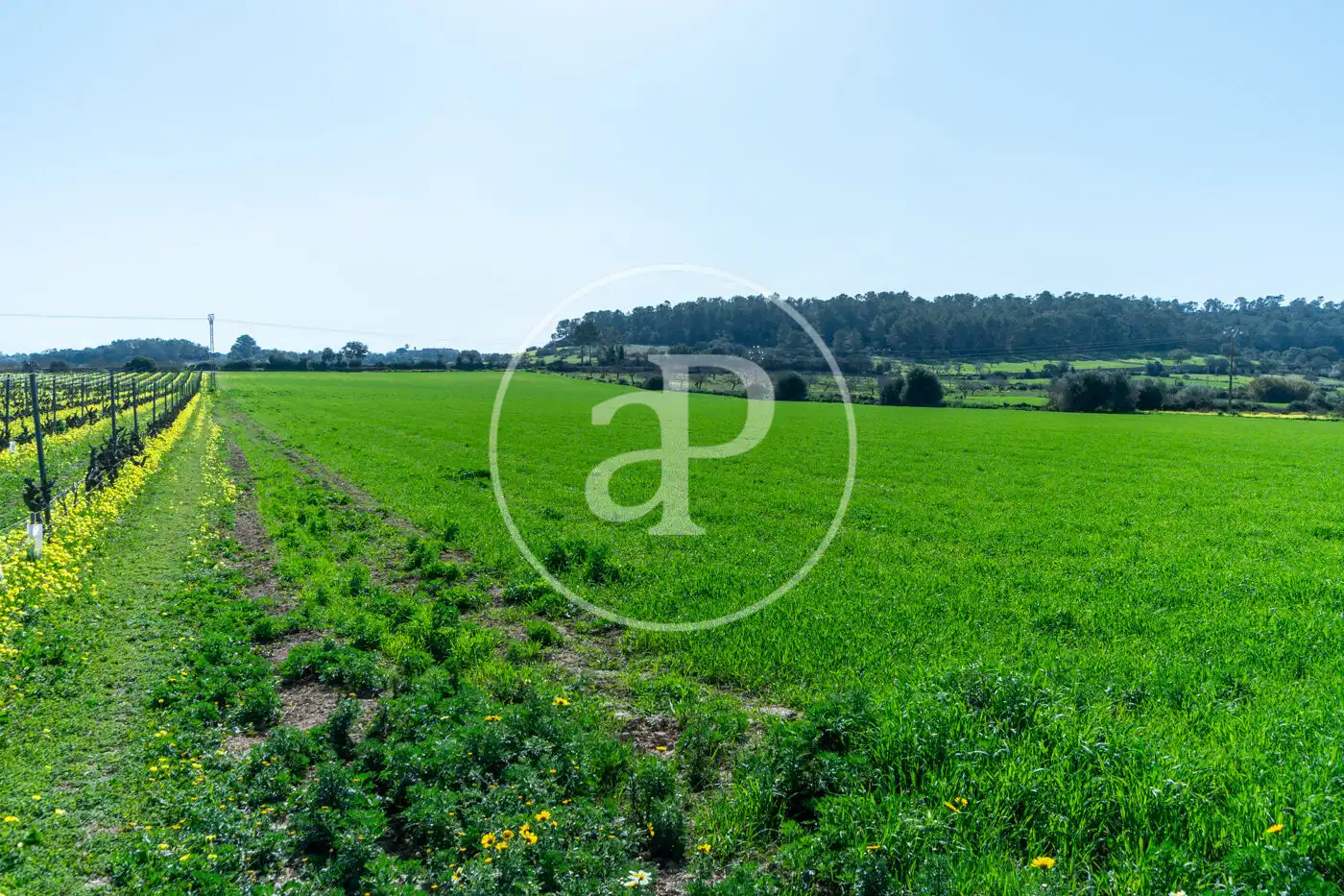 Residential for sale in Porreres