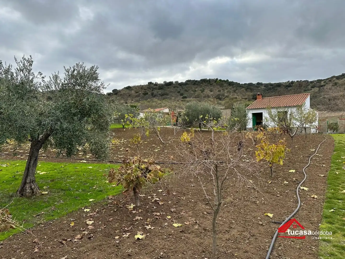 Terreno rustico in vendita a Villanueva del Rey, imagen 18