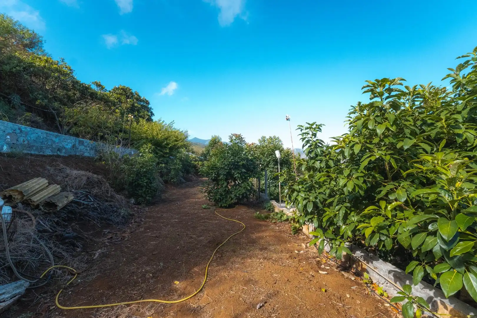 Country homes for sale in El Tanque