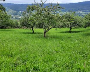 Land for sale in Camín de les Cruces, Fano