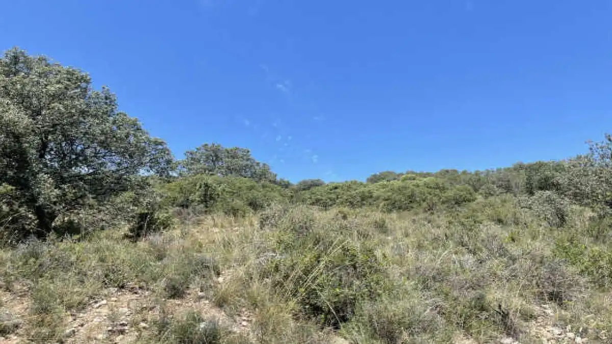 Residencial en venda en Castillonroy