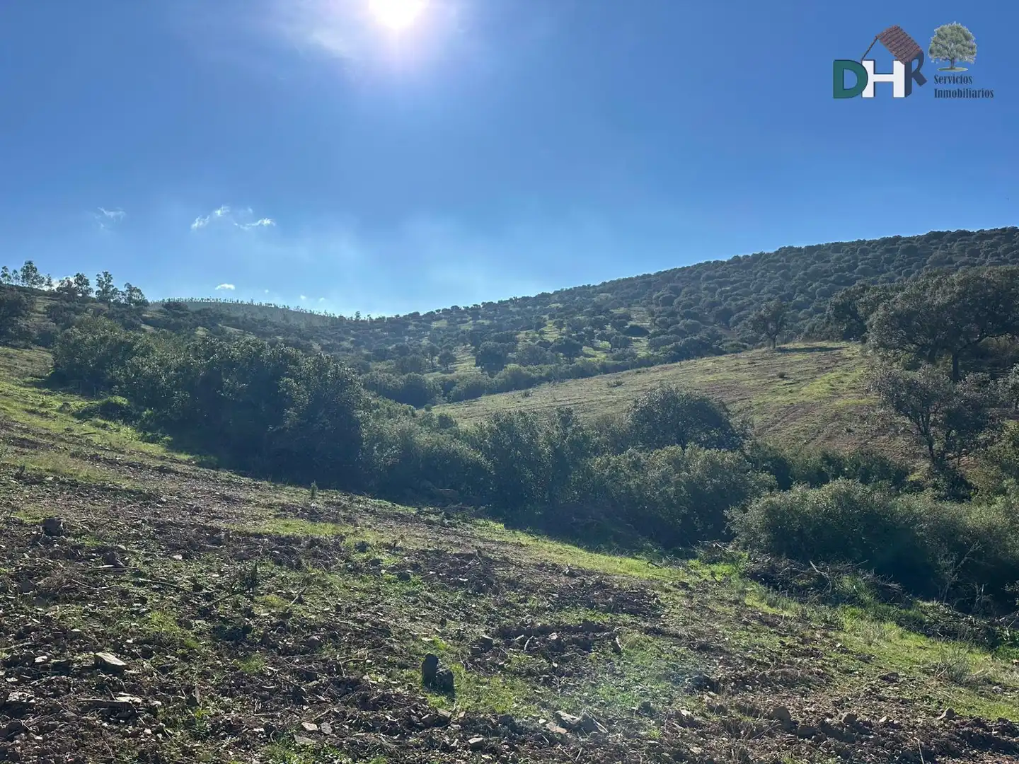 Terreni e lotti in vendita a Carretera de Sevilla - Los Montitos, imagen 5