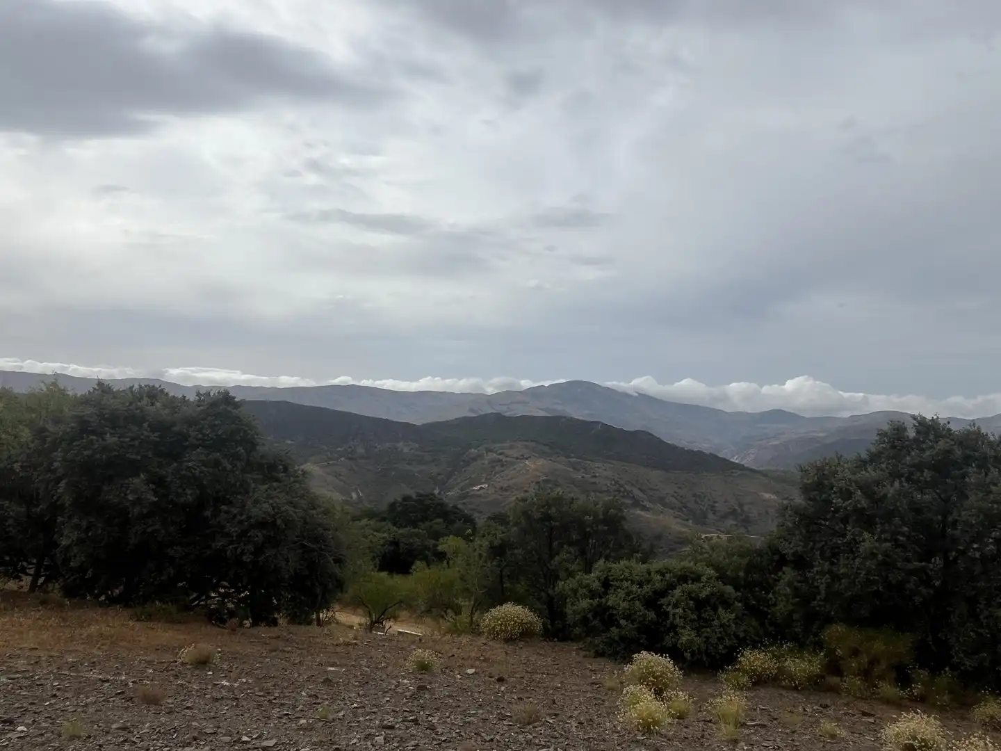 Vista exterior de Terreno en venta en La Taha