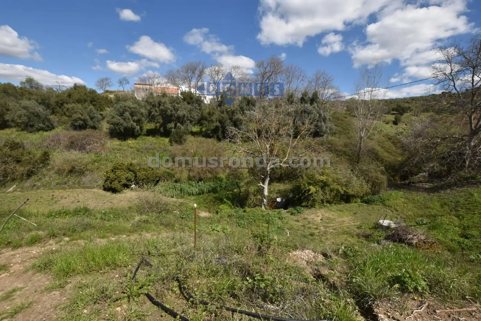 Casa rústica amb piscina en venda a Partidas Norte, imagen 18