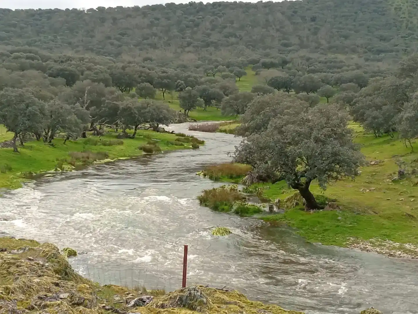 Vista exterior de Finca rústica en venta en Aldeacentenera con Jardín privado