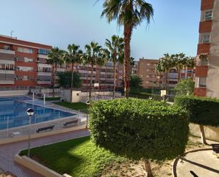 Swimming pool of Flat to rent in San Vicente del Raspeig / Sant Vicent del Raspeig  with Air Conditioner, Terrace and Furnished