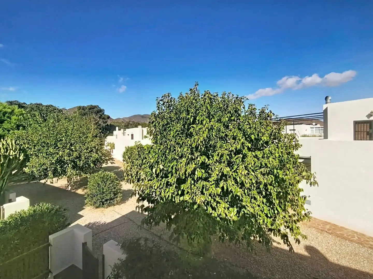 Villa avec piscine à vendre à Pozo de los Frailes - Presillas - Albaricoques, imagen 26