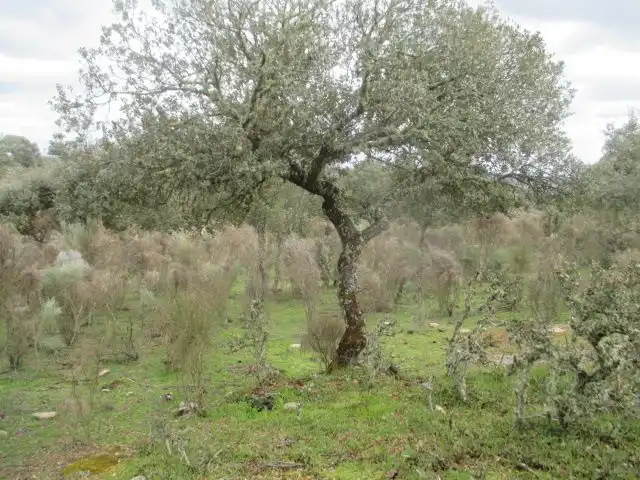 Country homes for sale in San Felices de los Gallegos