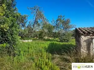 Terreno en venta en La Masó