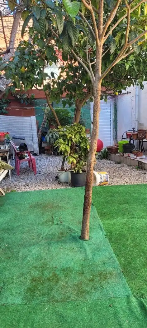 Casa en venda a Carrer de Berga i Boada, imagen 7