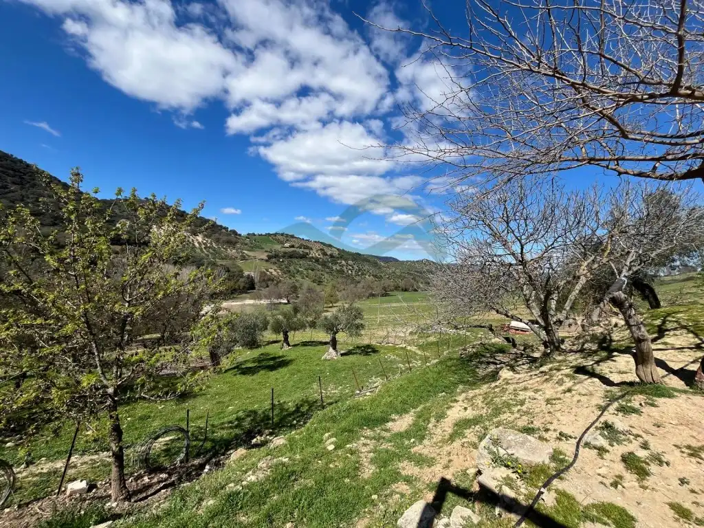 Finca rústica en venda en Ronda