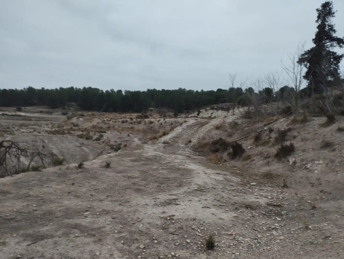 Residential land for sale in Partida Rincón De Egea - Hoya Redonda, imagen 13