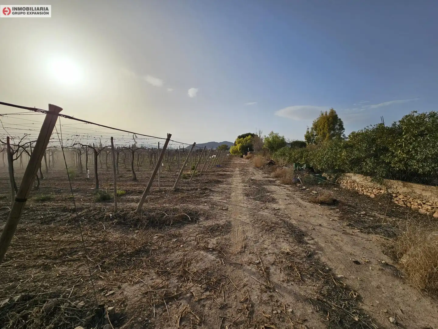 Casa o xalet en venda en Monforte del Cid amb Jardí privat i Traster