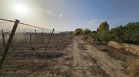 Foto 3 de Casa o xalet en venda a Monforte del Cid, Alicante