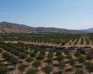 Land for sale in Huélago