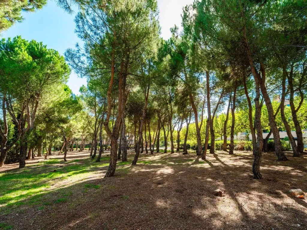 Flat with pool for sale in Calle Tramontana, imagen 33
