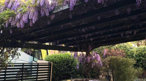 Photo 5 of House or chalet to rent in El Zaudín - Club de Golf, Sevilla