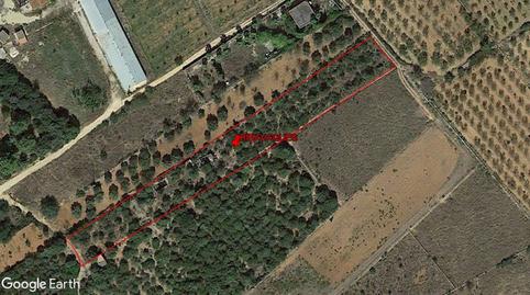 Photo 3 of Land for sale in Alcalà de Xivert pueblo, Castellón