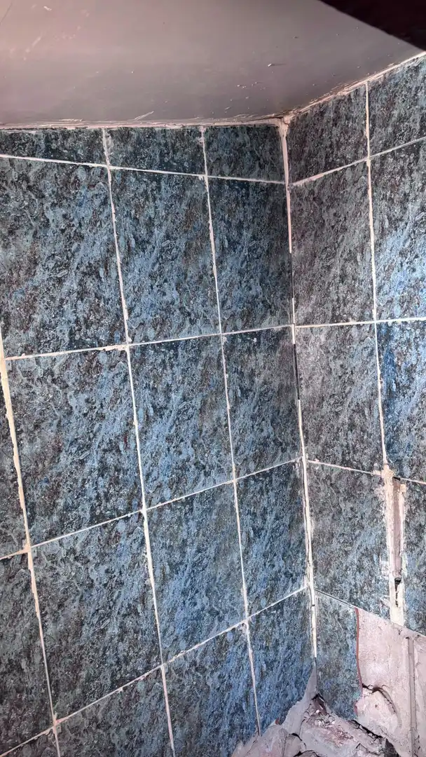 Casa rústica en venta en C. Olivo, 14, imagen 3