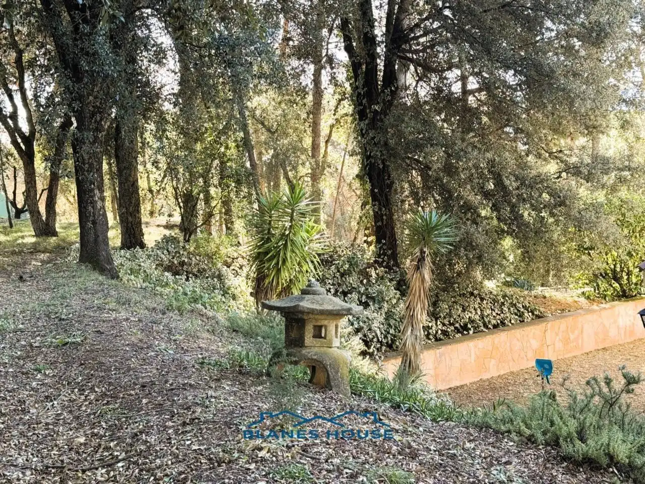 Jardí de Finca rústica en venda en Sant Feliu de Buixalleu amb Calefacció, Jardí privat i Terrassa