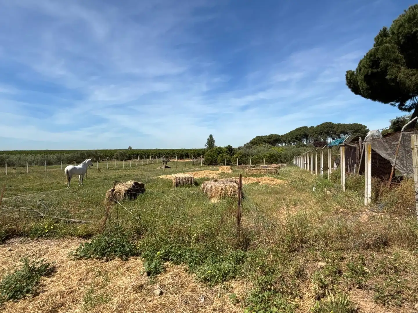 Terreni e lotti in vendita a Polígono Polígono 14 Paraje 87 LOS MONTES, imagen 23