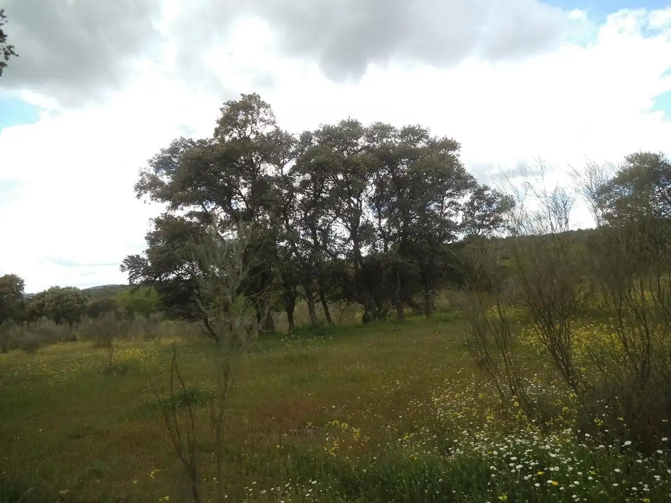 Residencial en venda en Valdemorillo