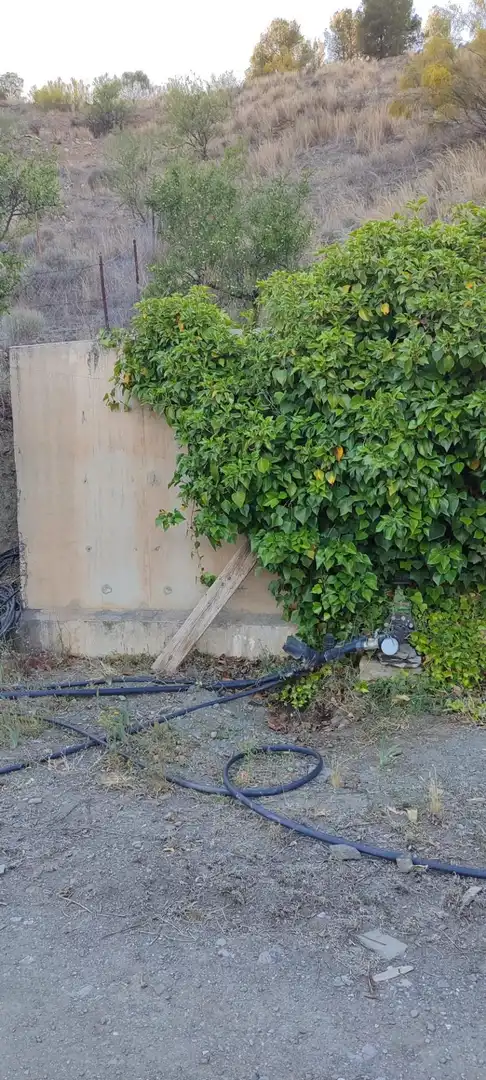Vista exterior de Finca rústica en venta en Purchena con Jardín privado, Trastero y Amueblado