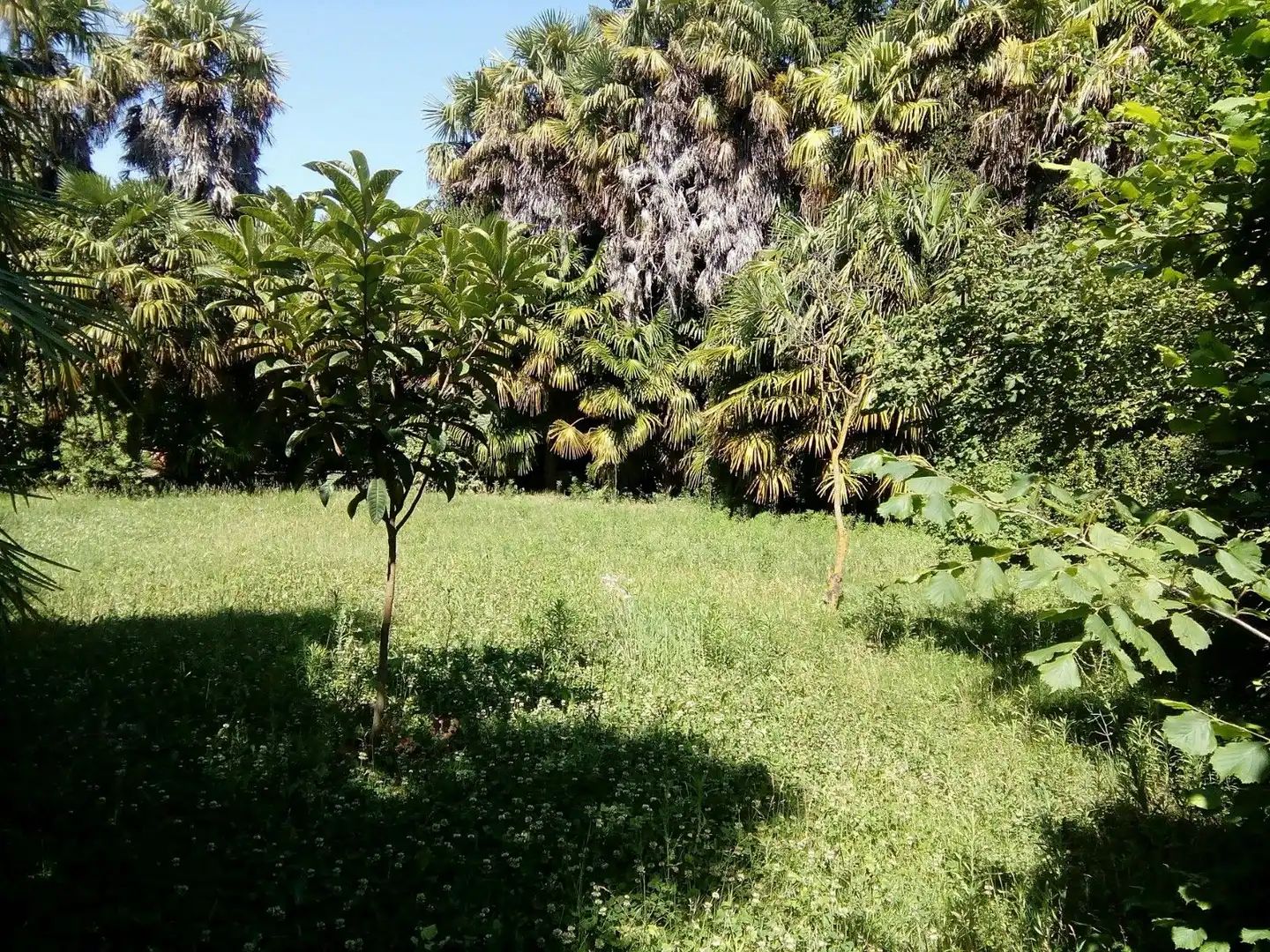 Casa o chalet en venta en Tarazona con Calefacción, Jardín privado y Trastero