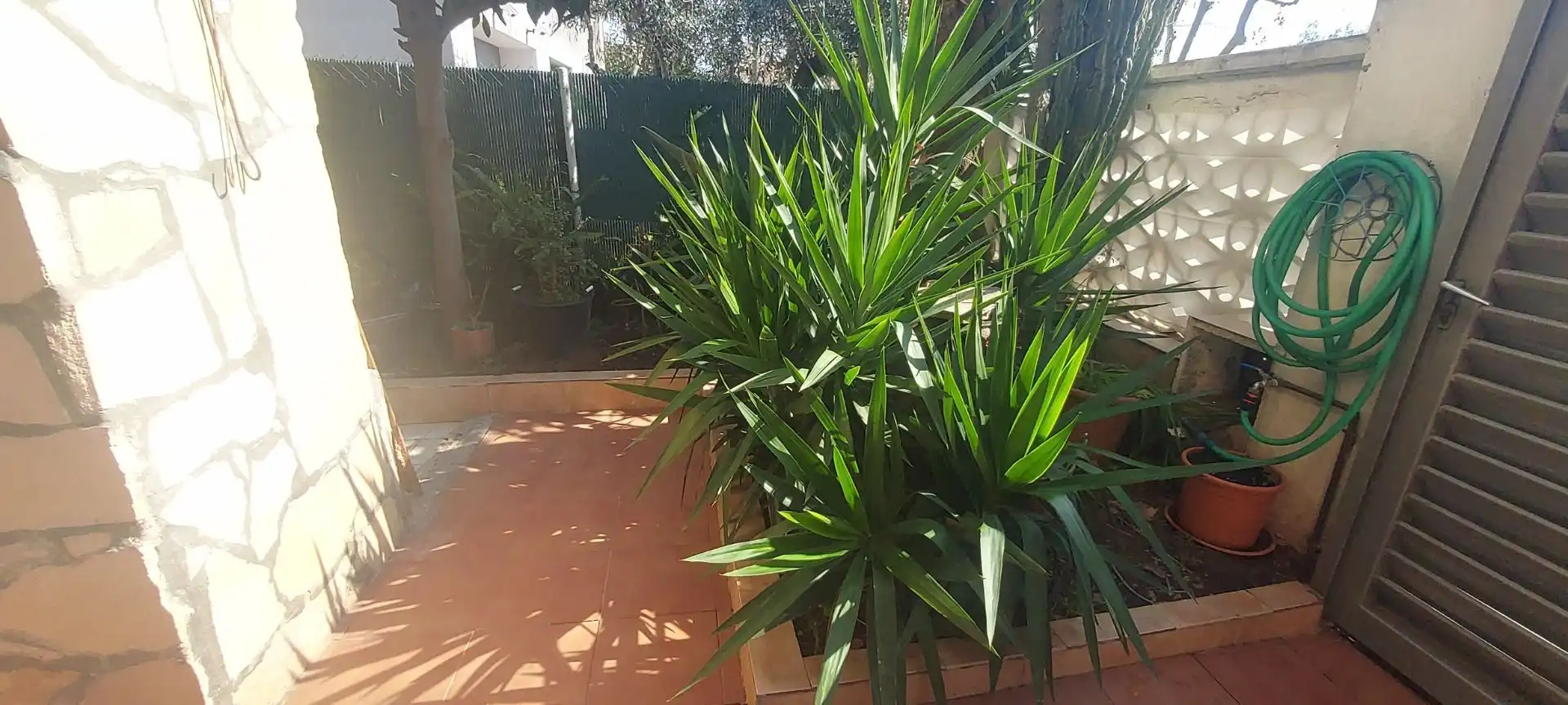 Jardín de Casa o chalet en venta en Barberà del Vallès con Calefacción, Jardín privado y Terraza