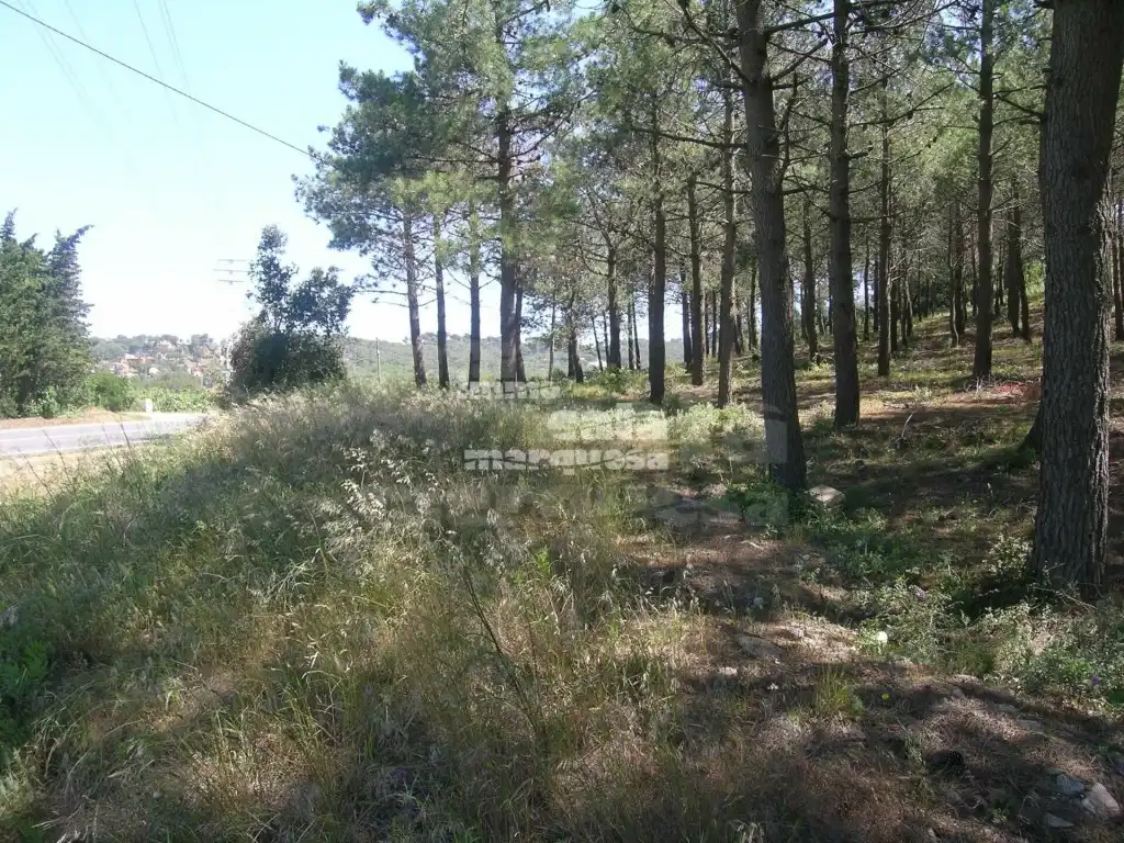 Terreny rústic en venda a Fornells - Aiguablava, imagen 3