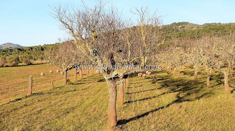 Foto 3 de Residencial en venta en S'Horta - Cas Concos des Cavaller - Es Carritxó, Felanitx