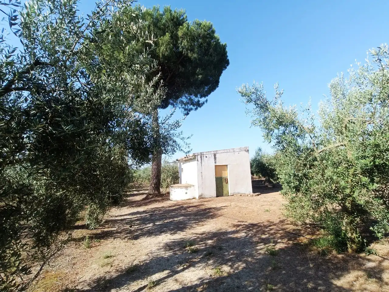 Terreni e lotti in vendita a Villanueva del Ariscal, imagen 2