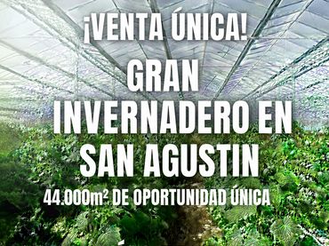 Terreno rustico in vendita a Calle Melilla 25