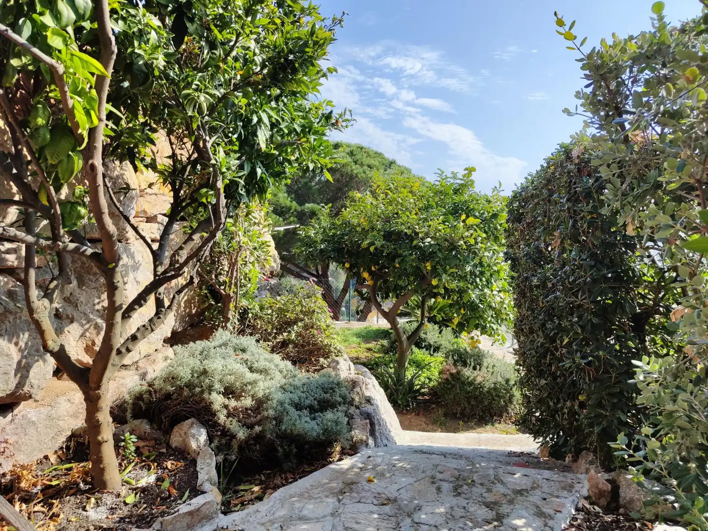 Detached house with terrace for sale in Roca Grossa, imagen 18
