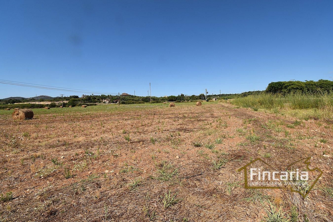 Finca rústica en venta en Manacor-Porto Cristo, Manacor Centre  , Manacor