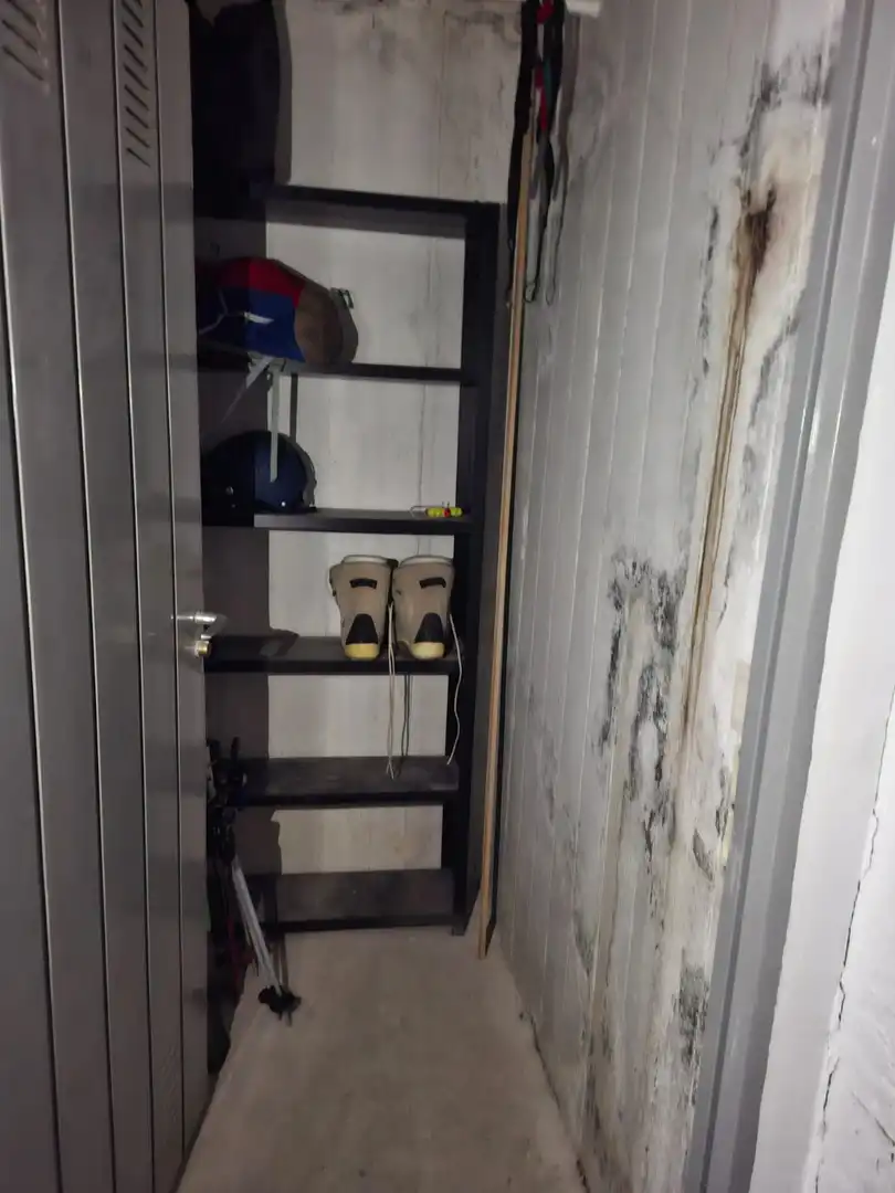 Traster de lloguer en Sallent de Gállego