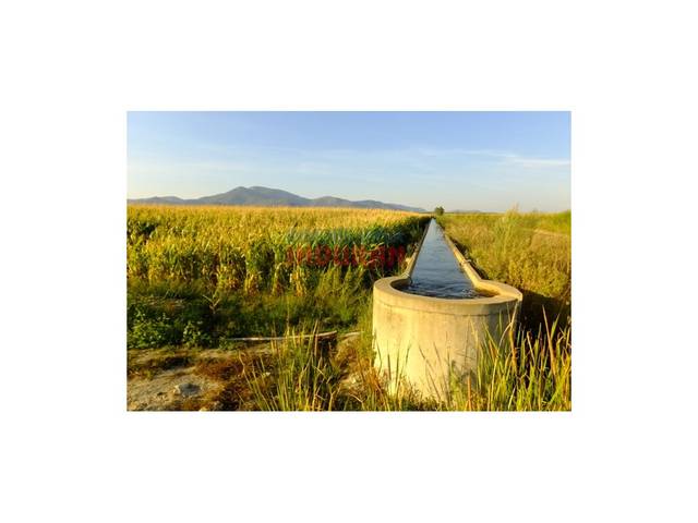 Casa-chalet en Venta en N/A en Rosalejo