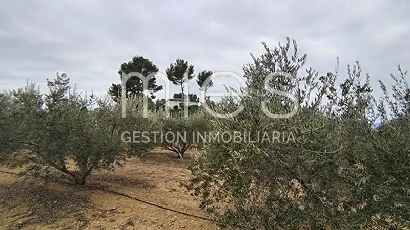 Rustikales Grundstück zum Verkauf in CANA MURTA 0, imagen 12