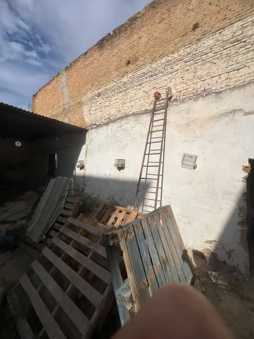 Vista exterior de Casa o xalet en venda en Coria del Río amb Balcó
