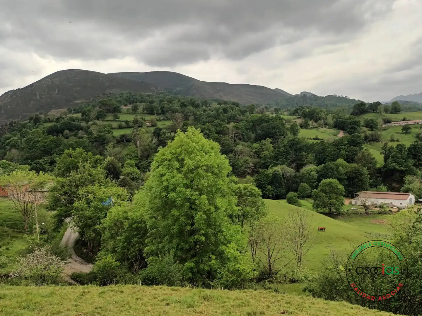 Casa o chalet en venta en Piloña con Terraza