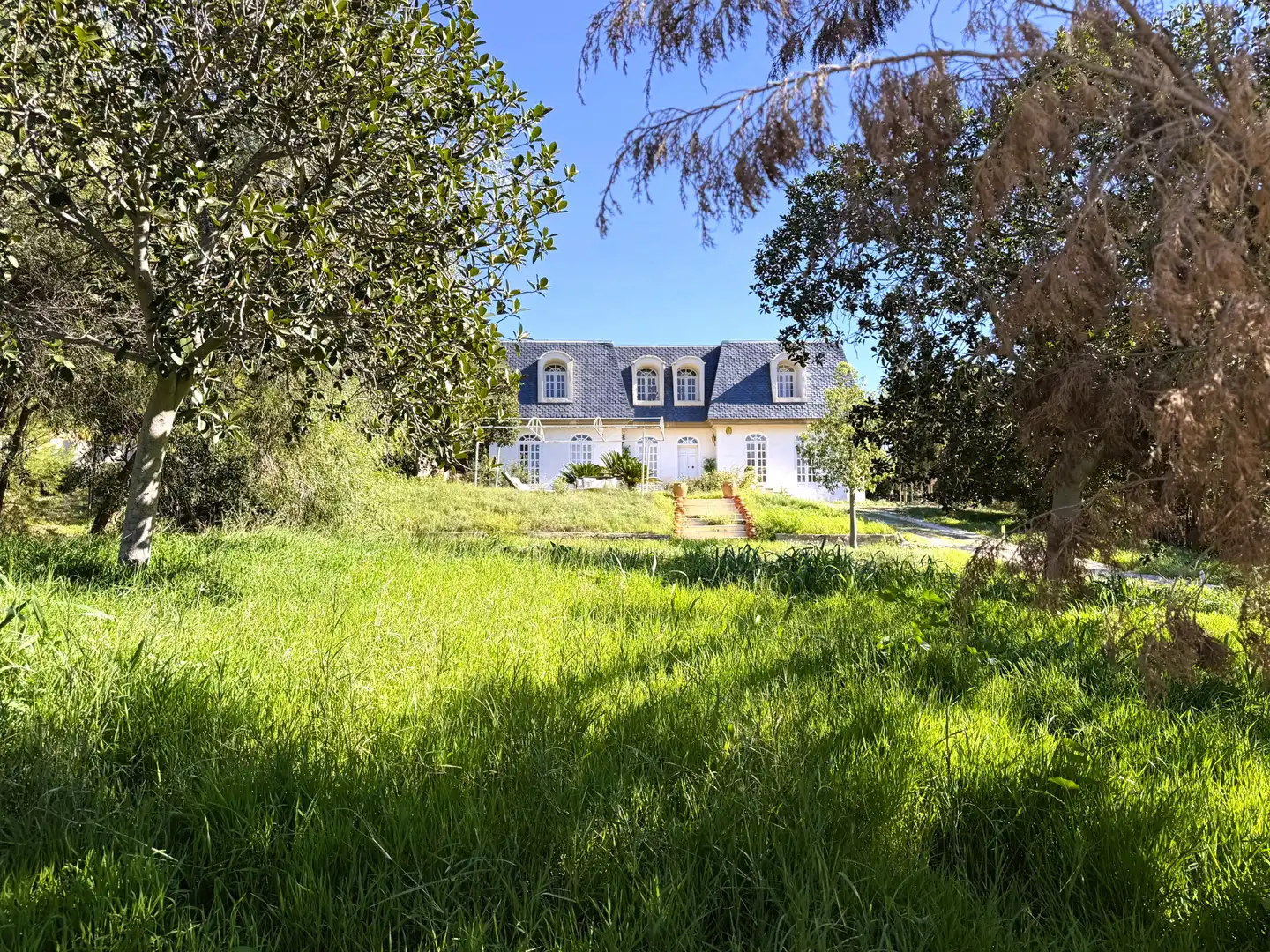 Exterior view of Houses for sale in Murcia  with Private garden