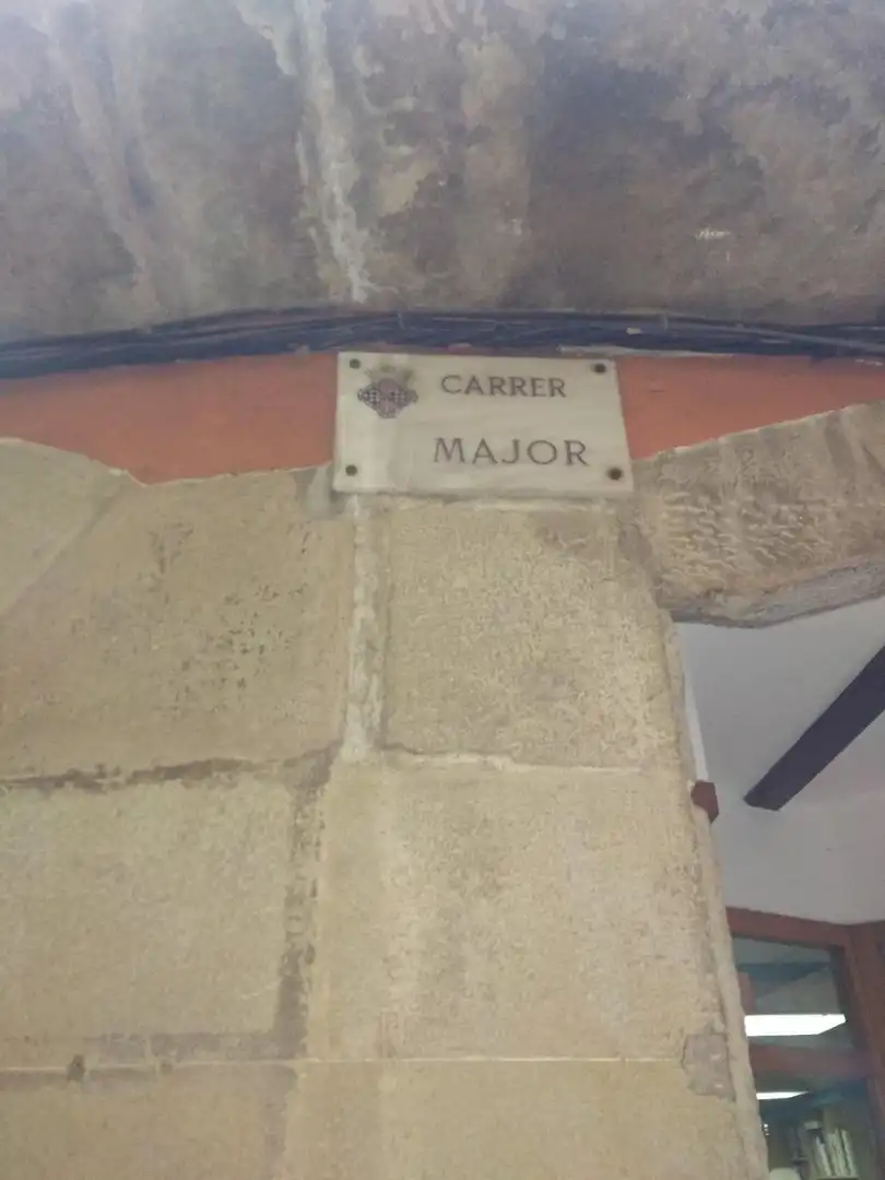 Terreno rústico en venta en MAJOR, imagen 5